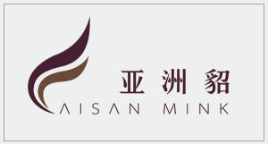 亞洲貂 亞洲貂