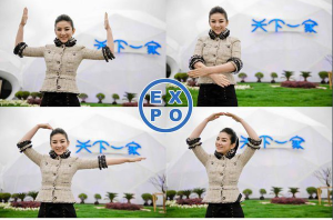 世博手勢形象大使