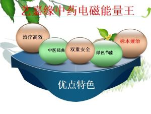 中藥提速治療儀 中藥提速治療儀