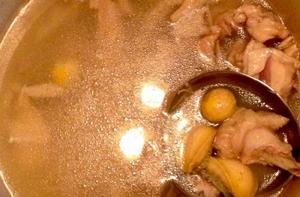 鮑魚燉雞湯 鮑魚燉雞湯