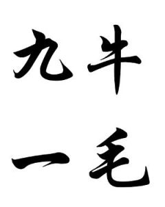 九牛一毛 九牛一毛