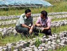 安圖縣委對金文元的義舉大力支持