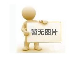 瘋狂面具 瘋狂面具