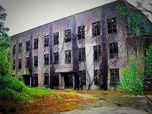 大久野島 大久野島