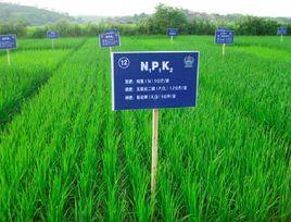 測土配方施肥 測土配方施肥