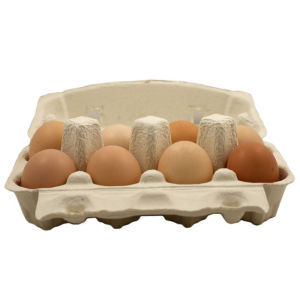 從嶺藏雞蛋 從嶺藏雞蛋