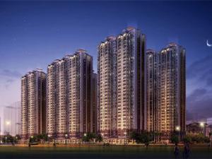 棕櫚園期加州陽光 棕櫚園期加州陽光