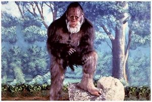 大腳野人 大腳野人