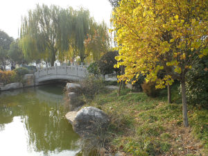 南方植物園 南方植物園