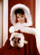 安妮特·弗奈斯洛 安妮特·弗奈斯洛