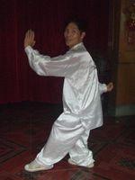 高金星[兩儀拳第五代正宗傳人——高金星]