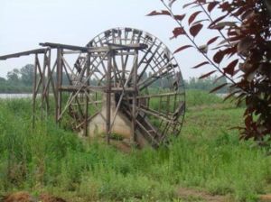潮河灣生態園 潮河灣生態園