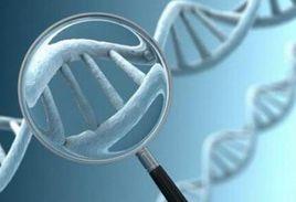 基因修補技術 基因修補技術