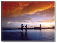 金沙灘節 金沙灘節