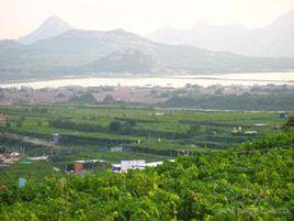 景村[山東省青島市平度市明村鎮下轄村]