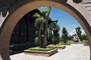 龍鳳情場地 龍鳳情場地