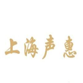上海聲惠電子科技有限公司 上海聲惠電子科技有限公司