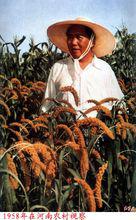 毛澤東像集（四）