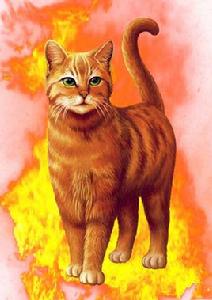 火星[貓武士中人物]