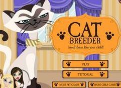 我的可愛貓咪寵物