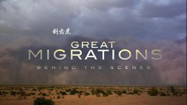 大遷徙:繁衍生息 大遷徙:繁衍生息