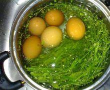 薺菜花煮雞蛋