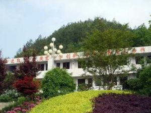 高楠國小 高楠國小