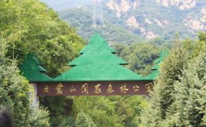 雲蒙山國家森林公園