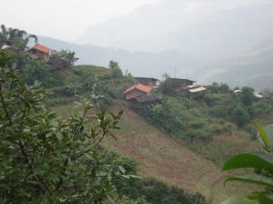 老周寨村 老周寨村