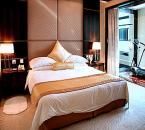 廣東亞洲國際酒店 廣東亞洲國際酒店