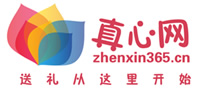 真心網 真心網
