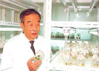 侯鋒[中國工程物理研究院研究員]