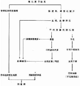 維生素D缺乏神經病