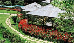 世界知名植物園欣賞