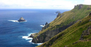 奧克蘭群島 奧克蘭群島