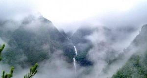 神龍溝原始森林樂園 神龍溝原始森林樂園