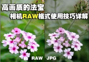 RAW格式