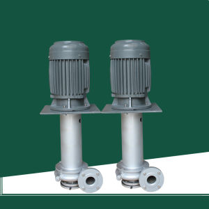 立式不鏽鋼泵 立式不鏽鋼泵