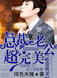 唯愛萌妻,總裁老公超完美 唯愛萌妻,總裁老公超完美