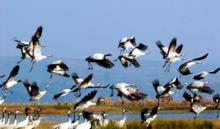 草海[貴州省威寧縣草海]