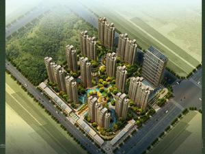 天慧紫辰閣鳥看圖