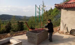 三元寨村 三元寨村