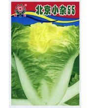 北京小雜55號 北京小雜55號