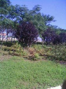 臧家村[山東煙臺市海陽區下轄村]