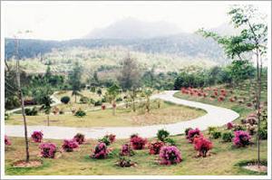 萬寧興隆熱帶花園