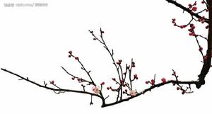 桃花扣[沈星護小說作品]