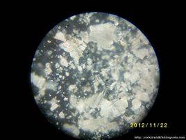 篩狀變晶結構 篩狀變晶結構