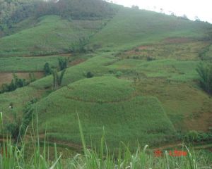 漫落自然村 漫落自然村