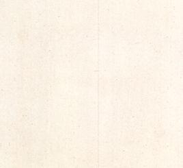 白沙米黃 白沙米黃