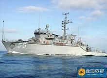 美國鶚級掃雷艦 美國鶚級掃雷艦